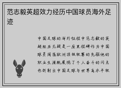 范志毅英超效力经历中国球员海外足迹